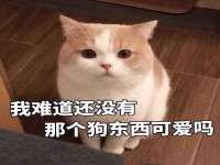 黑龙江灿星科技有限公司