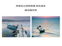 黑龙江灿星科技有限公司