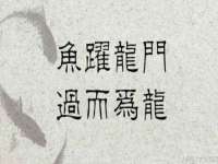 黑龙江灿星科技有限公司