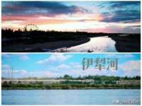 黑龙江灿星科技有限公司
