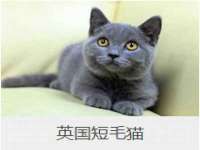 黑龙江灿星科技有限公司