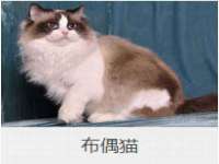 黑龙江灿星科技有限公司