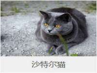 黑龙江灿星科技有限公司