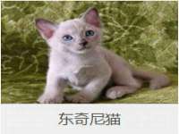 黑龙江灿星科技有限公司
