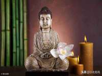 黑龙江灿星科技有限公司