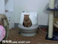 黑龙江灿星科技有限公司