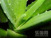 黑龙江灿星科技有限公司