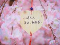 黑龙江灿星科技有限公司