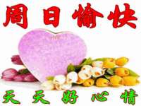 黑龙江灿星科技有限公司