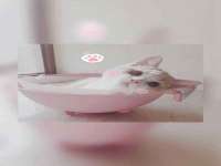 黑龙江灿星科技有限公司