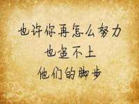 黑龙江灿星科技有限公司