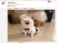 黑龙江灿星科技有限公司