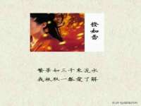 黑龙江灿星科技有限公司