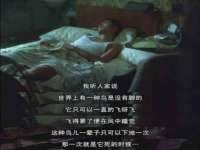 黑龙江灿星科技有限公司