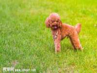 黑龙江灿星科技有限公司