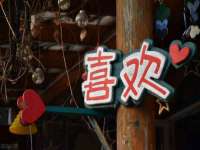 黑龙江灿星科技有限公司