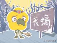 黑龙江灿星科技有限公司
