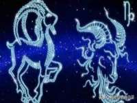 黑龙江灿星科技有限公司