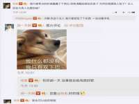 黑龙江灿星科技有限公司