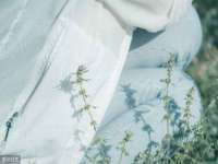 黑龙江灿星科技有限公司