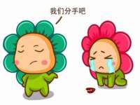 黑龙江灿星科技有限公司