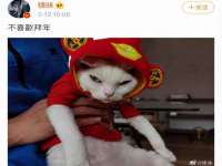 黑龙江灿星科技有限公司